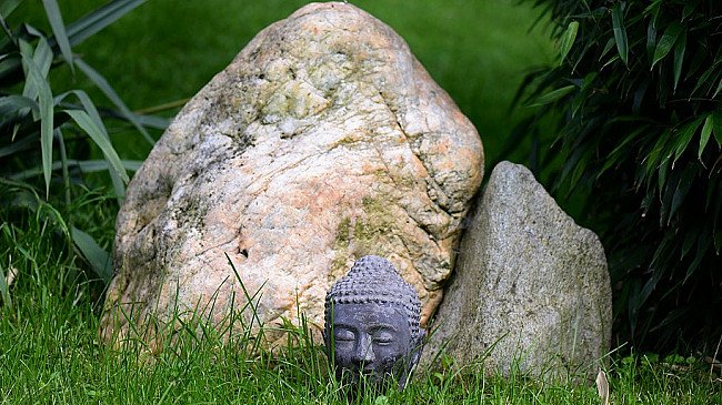 Buddha Heads