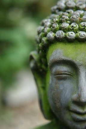 Buddha heads