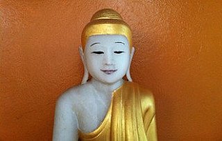 ears-of-the-buddha