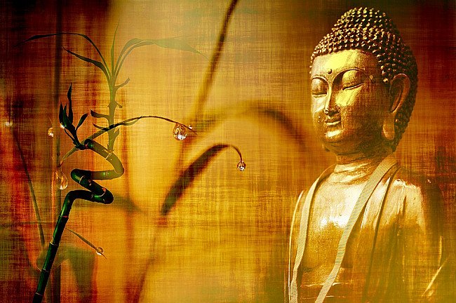 The Buddha