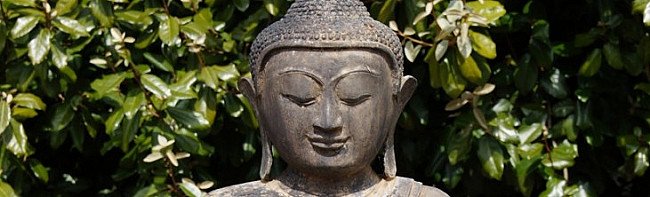 buddha-message
