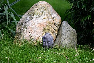 Buddha head statues
